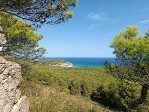 Mallorca, Cala Ratjada, Wandern, Agulla