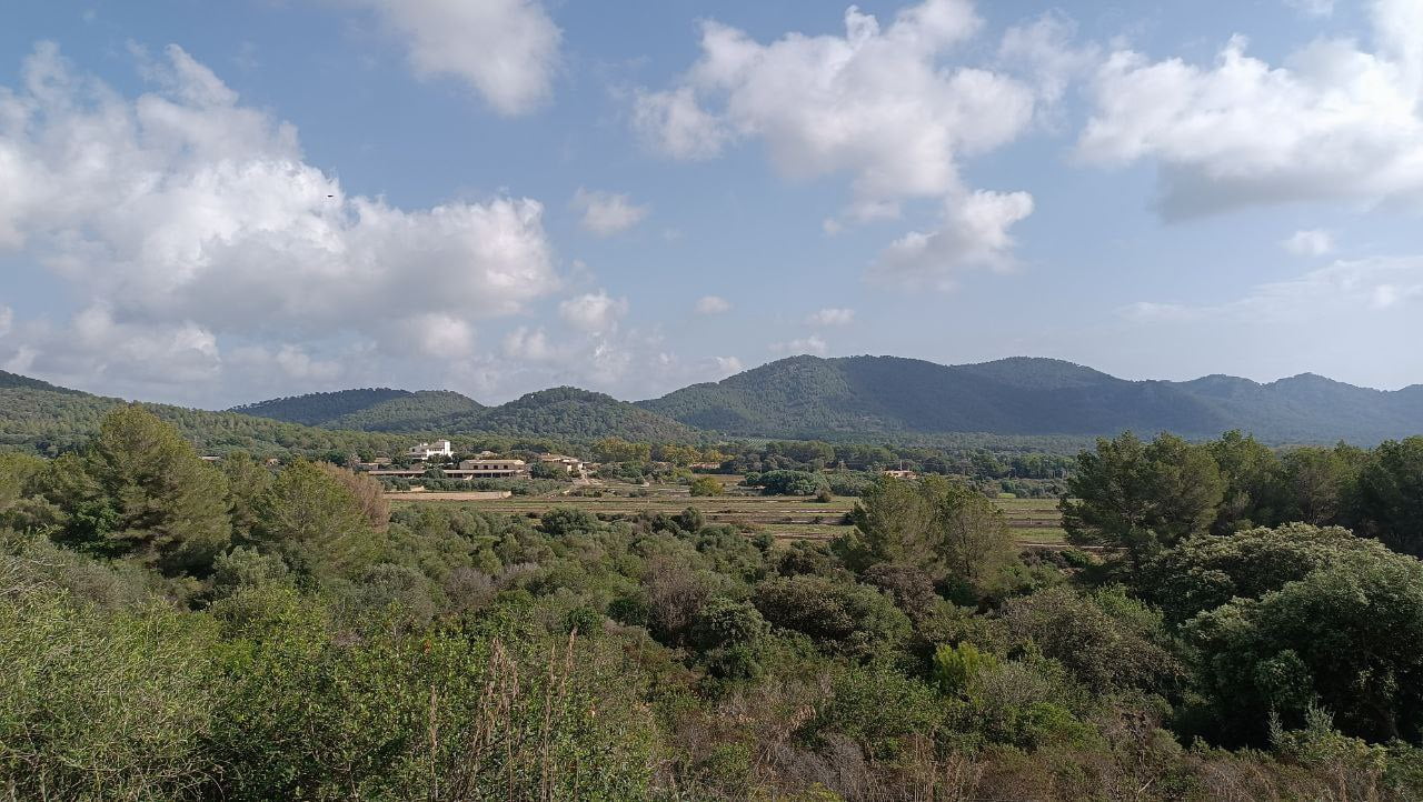 Megamarsch Mallorca Wandern Arta