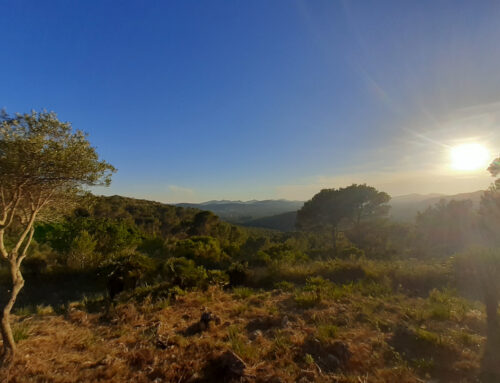 Das verkannte Wanderparadies im Osten Mallorcas?